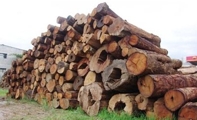 原木进口代理报关案例